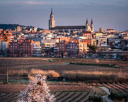 dhl vilafranca|Puntos DHL en Vilafranca del Penedes 【 Teléfono y Oficinas